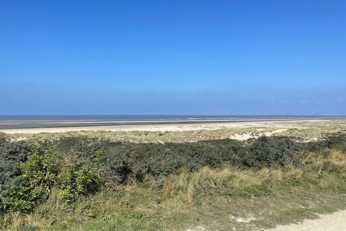 De duinen en het strand van Ouddorp